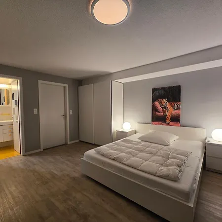 City Studio Apartman Thun